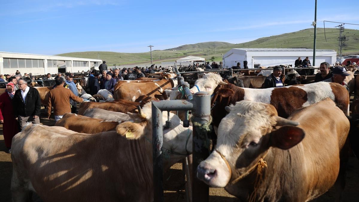 Bakentte kurbanlklar alclarn bekliyor 