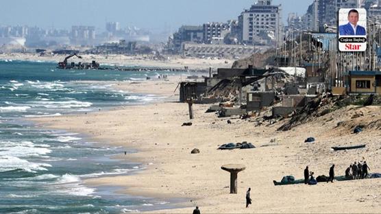 Kpek balklar Gazze sahilinde