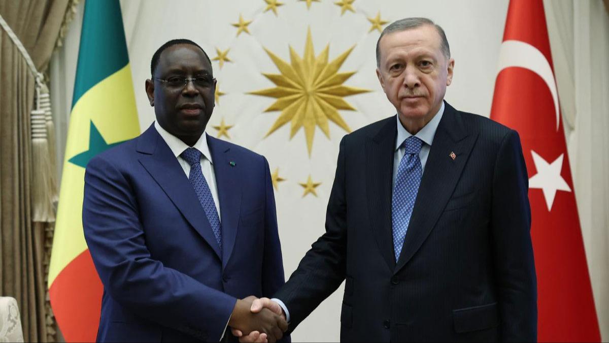 Cumhurbakan Erdoan, Senegal Eski Cumhurbakan Macky Sall ile grt 