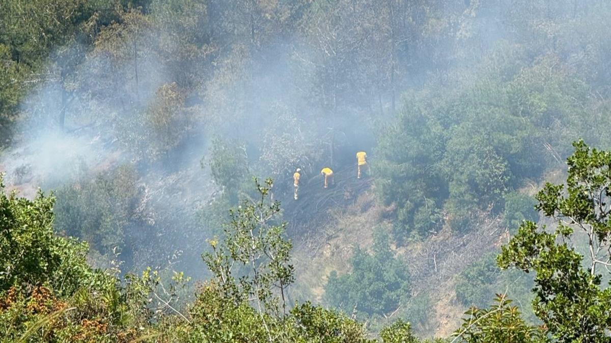 Hatay Arsuz'daki orman yangn kontrol altnda