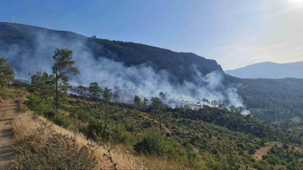 Mersin'deki orman yangn kontrol altna alnd 