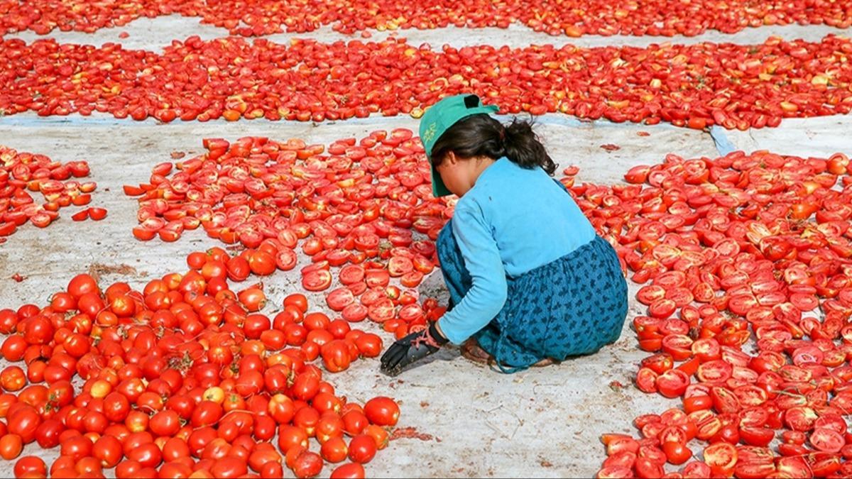 UNICEF ve ILO Trkiye'den ortak ar: Srdrlebilir eylemler hayata geirilmeli