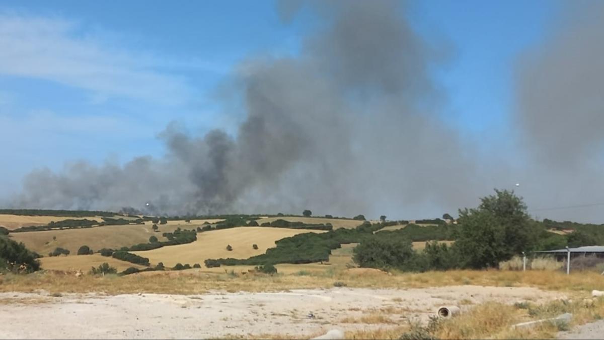 anakkale'de ormanlk alanda yangn