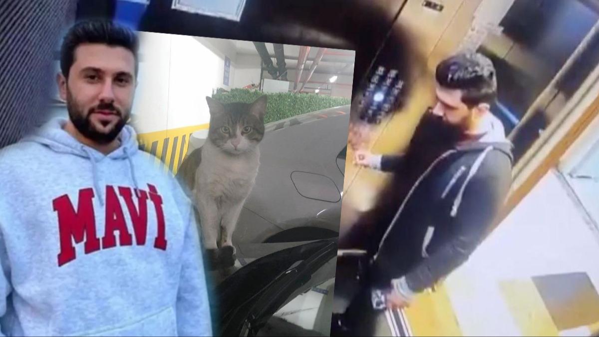 stinaf, kedi ''Eros''u ldren brahim Kelolan hakknda kararn verdi
