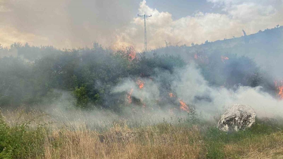 anakkale'de kan orman yangn kontrol altna alnd