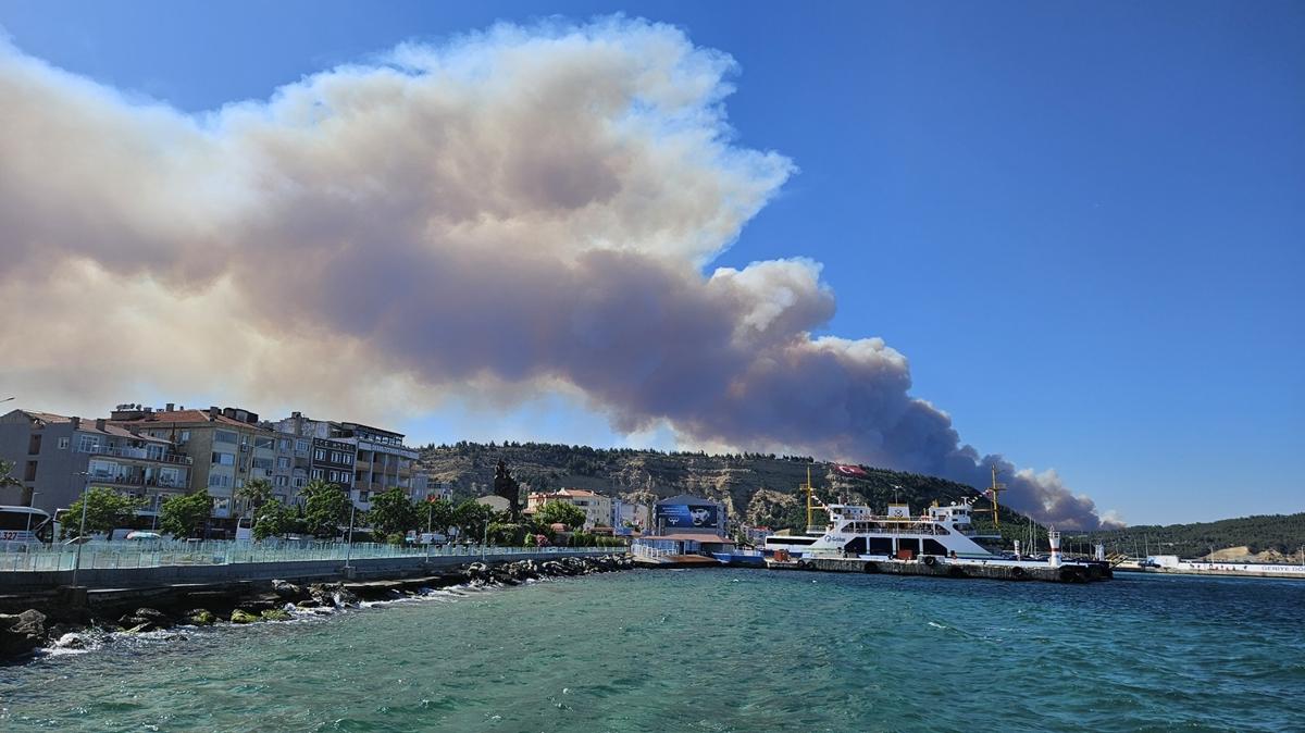 anakkale'de orman yangn: Bir ky boaltld!