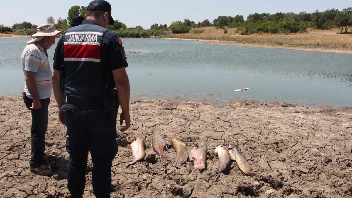 Edirne'de glette toplu balk lmleri