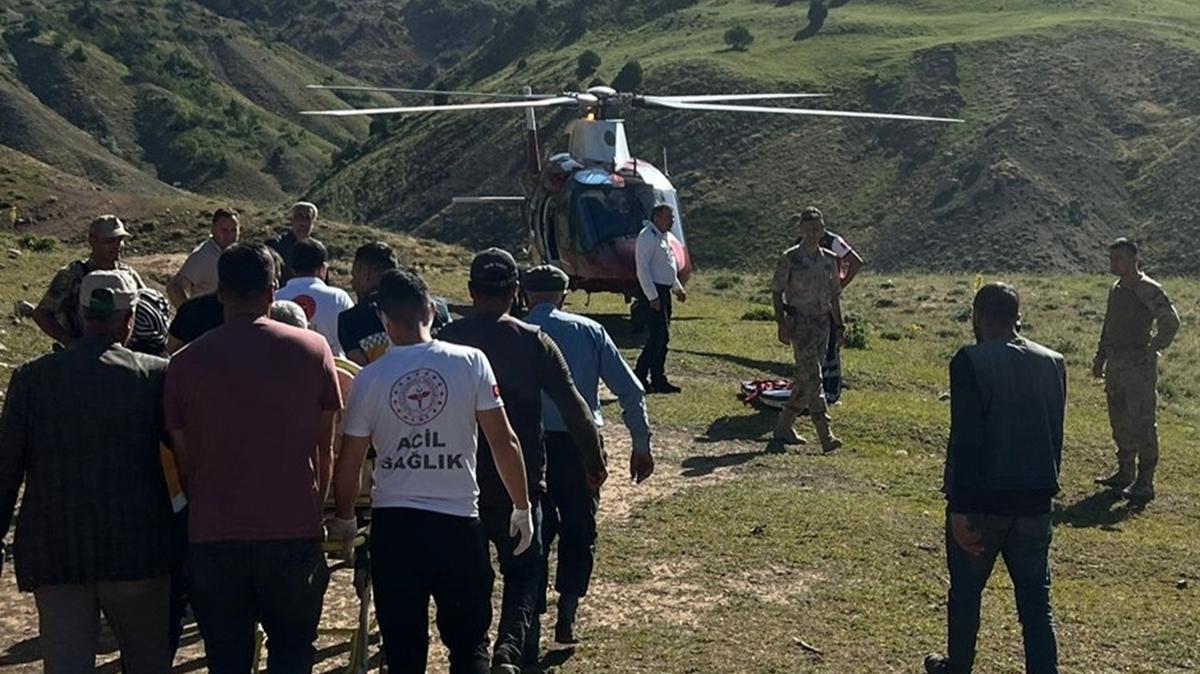 Yaylada uyuduu srada bcek tarafndan ba srlan kii hastaneye kaldrld