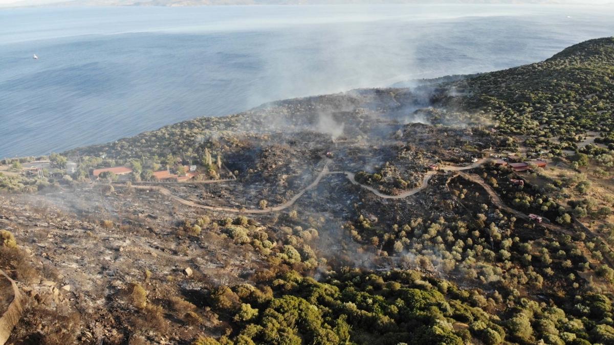 anakkale'deki yangnda 31 hektar alan zarar grd