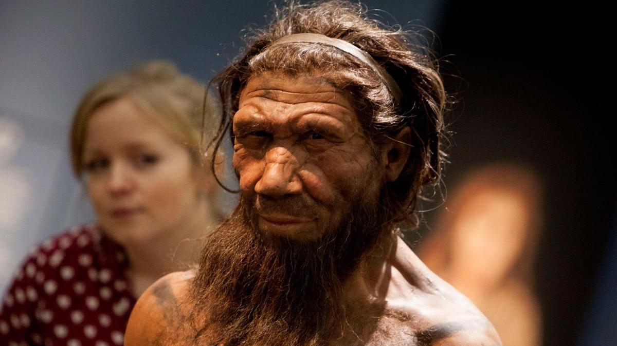 Down sendromlu ocuk fosili Neandertallerin toplum yapsna k tutuyor