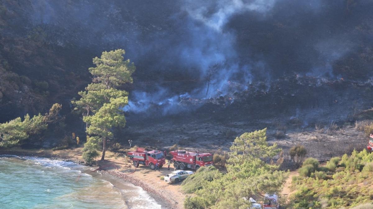 Marmaris'teki orman yangnyla ilgili 3 kii gzaltna alnd