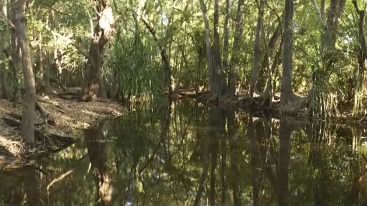 Avustralya'da 12 yandaki ocuk timsah saldrs sonras hayatn kaybetti