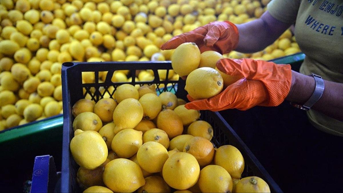 HKS'ye bildirilmeyen 380 ton limon tespit edildi