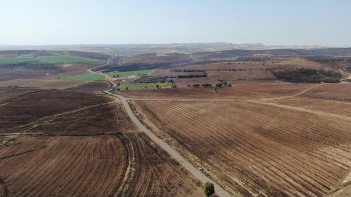 AFAD'dan Diyarbakr ve Mardin iin afet blgesi karar