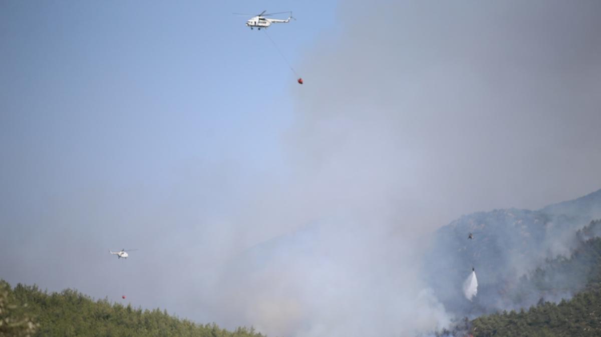 Bodrum'da orman yangn! Havadan ve karadan mdahale sryor 