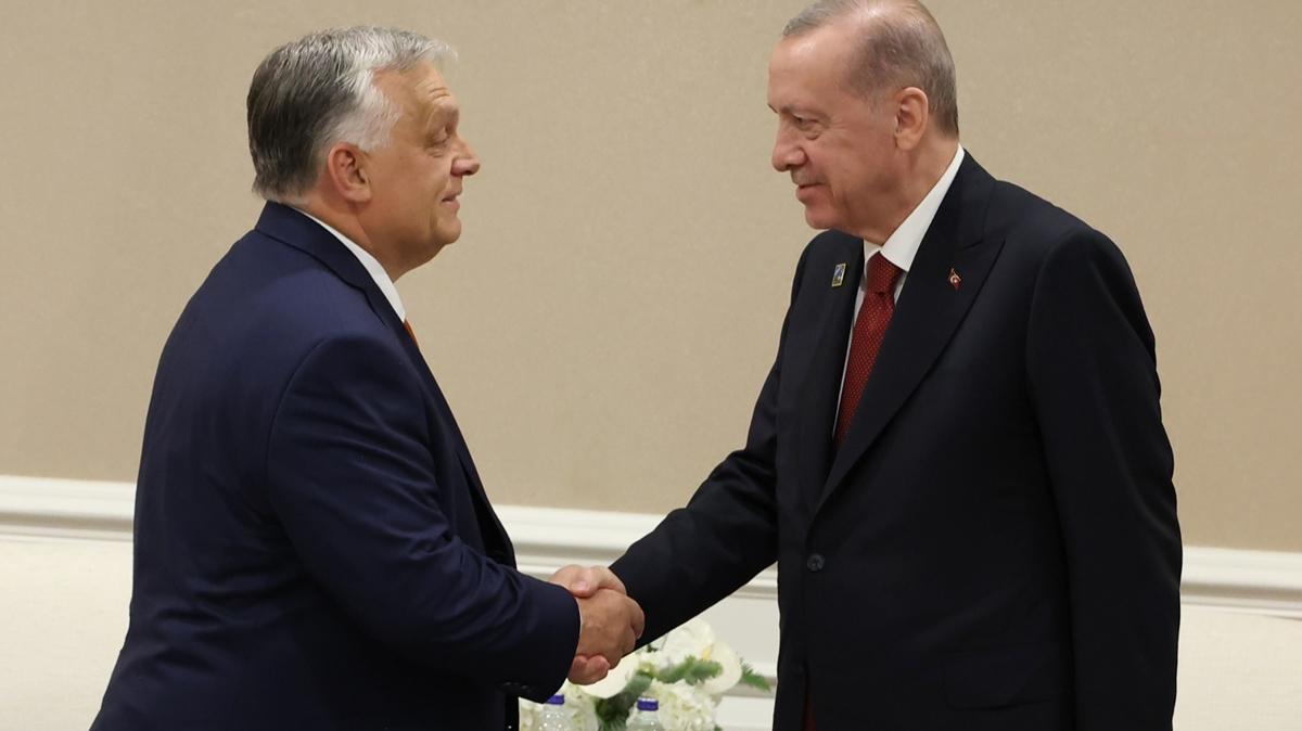 Cumhurbakan Erdoan, Macaristan Babakan Orban' kabul etti 