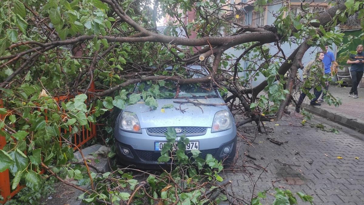 Kathane'de korkutan anlar! Aracn zerine aa devrildi