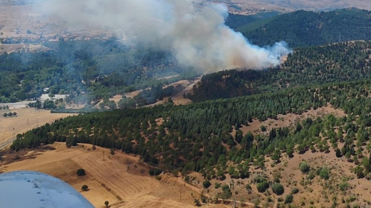 Balkesir'de ormanlk alanda yangn kt! Blgeye ok sayda ekip sevk edildi