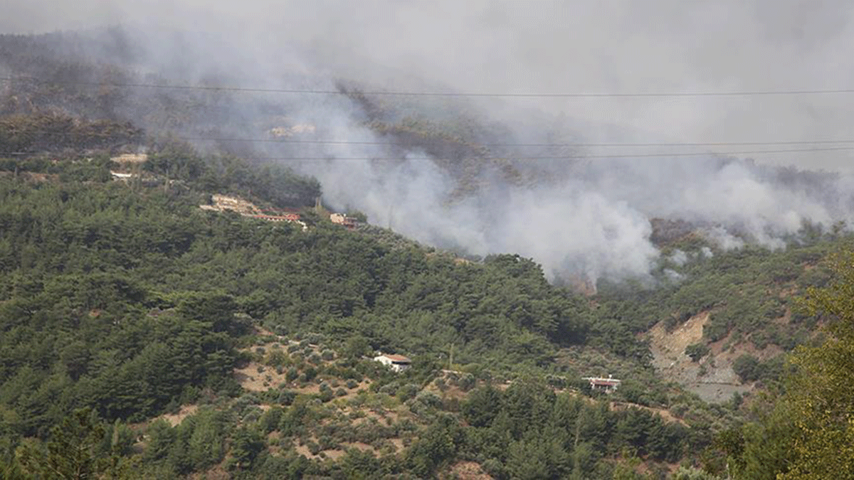 Hatay'da korkutan orman yangn 