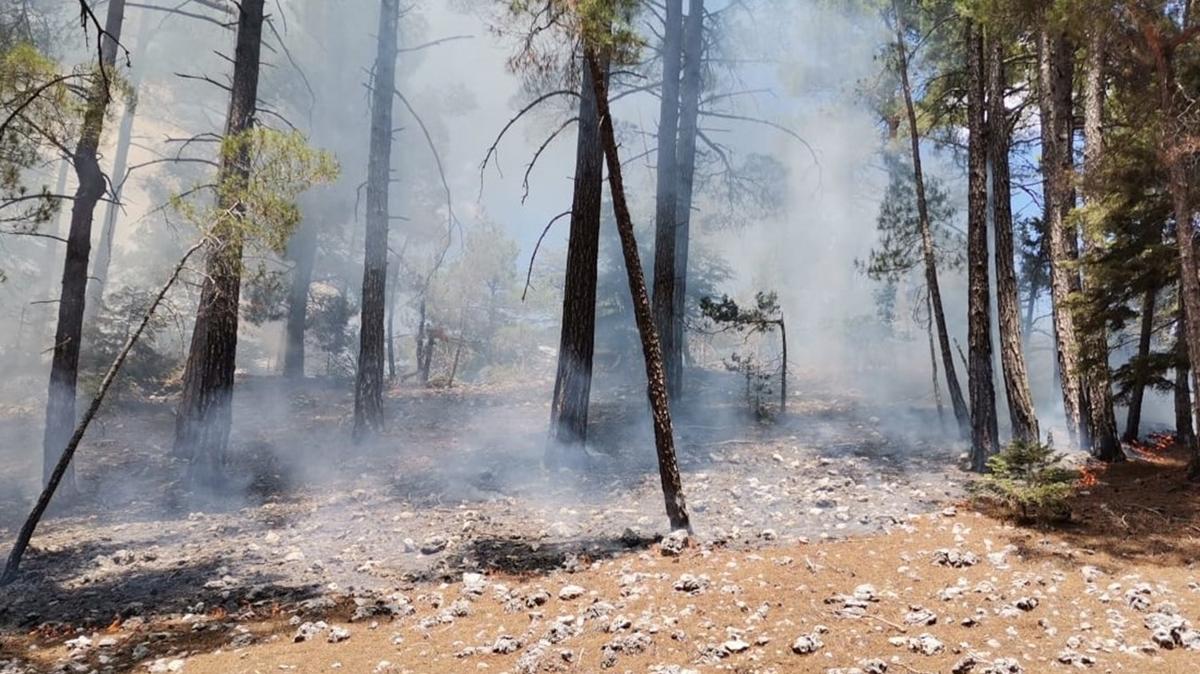 Mersin'de yldrm den ormanda yangn kt