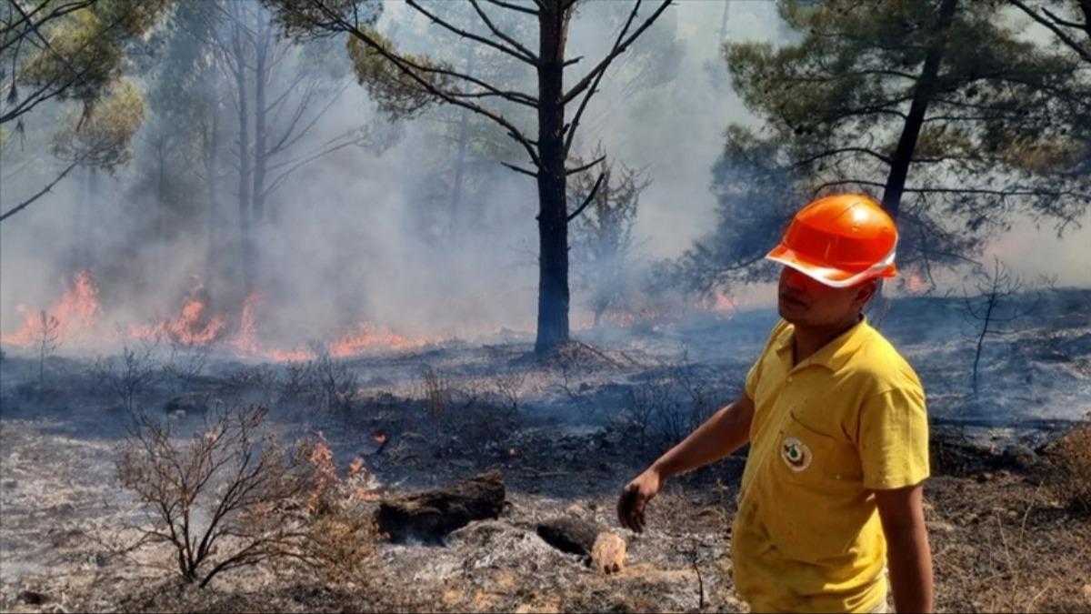 Mula ilelerinde ayn gnde 11 yldrm yangn kt 