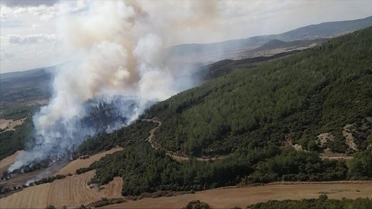 Orman yangnlarna kar anakkale Valilii'nden uyar 