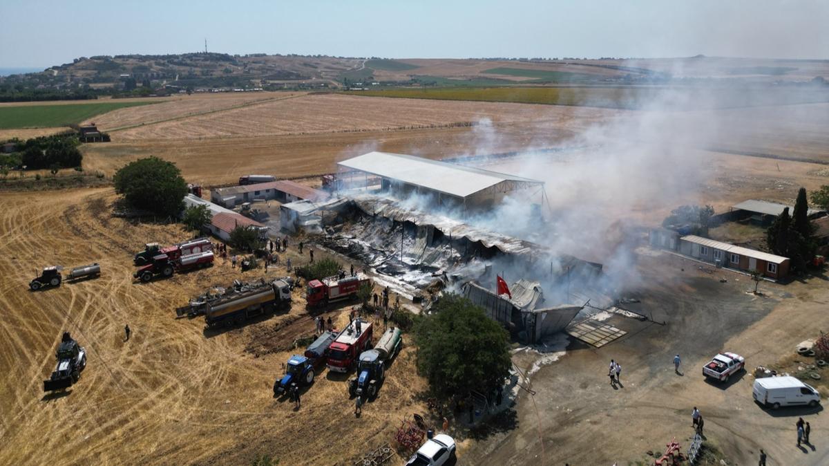 Tekirda'da yangn! 15 bin saman balyas kl oldu 