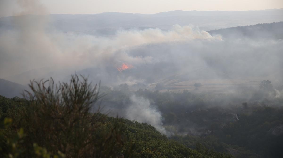 Bakan Yumakl: 18 Temmuz'da lke genelinde 48 yangna OGM tarafndan mdahale edildi