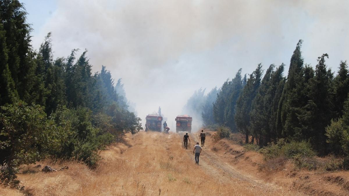 anakkale'de orman yangn kt