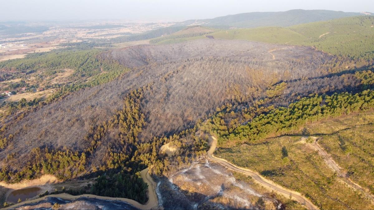 Uak'taki yangnlar havadan ve karadan mdahaleyle kontrol altnda