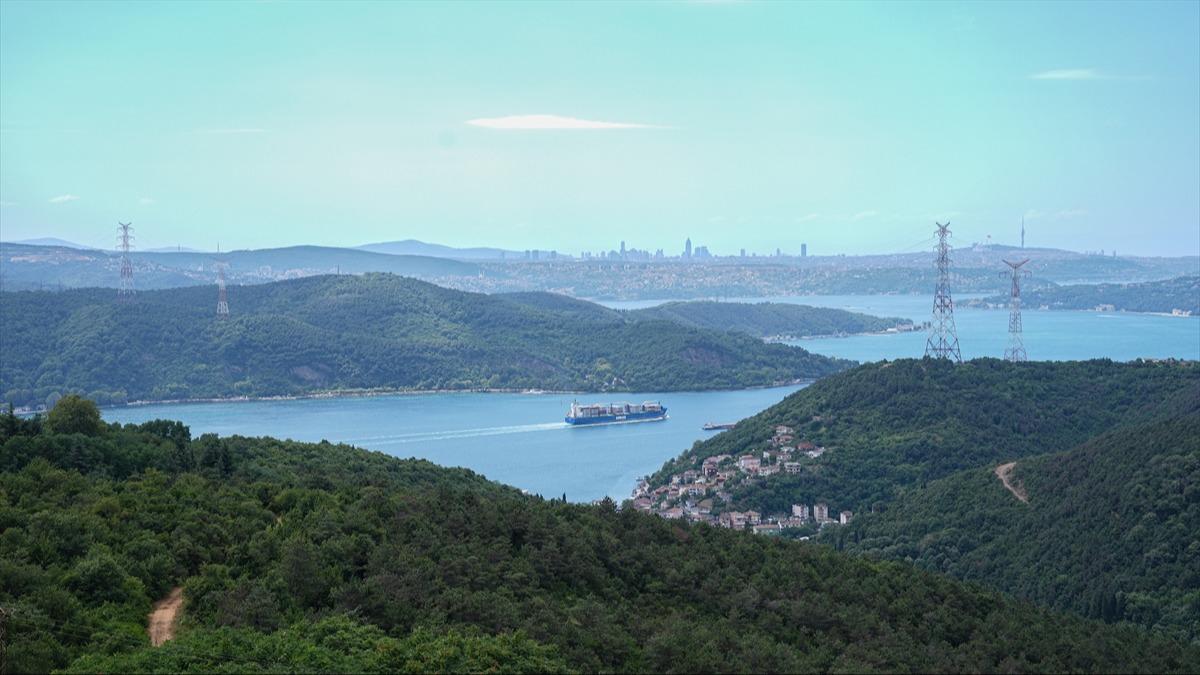 stanbul'da orman yangnlara kar yksek teknolojiyle nlem