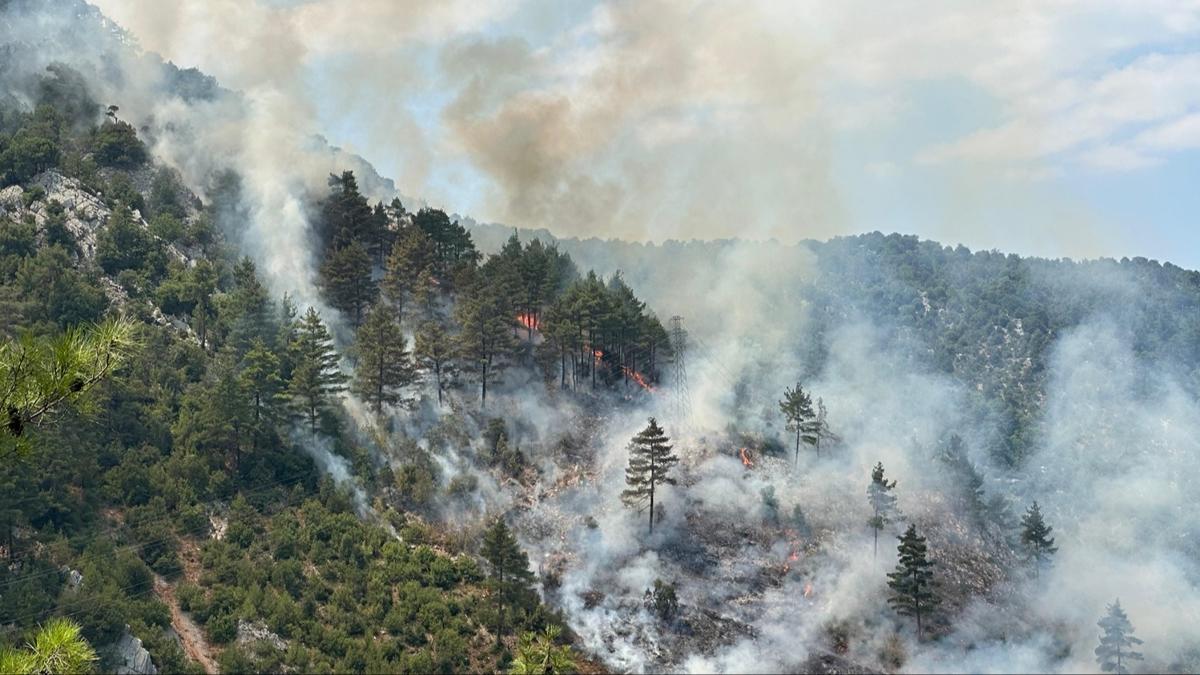 Adana'da orman yangn! ok sayda eki sevk edildi