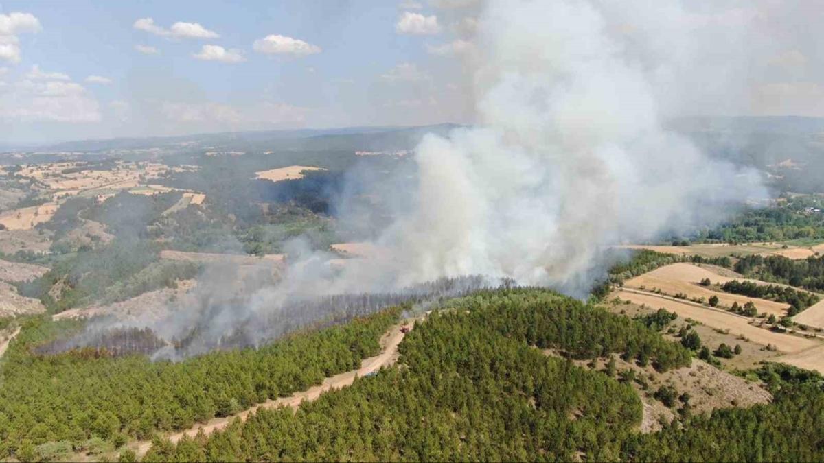 'cWGAN' orman yangnlarnn ilerleyiini tahmin edecek