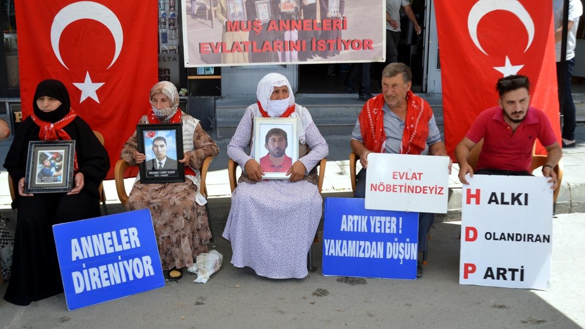 Mu'ta ''evlat nbeti'' sryor