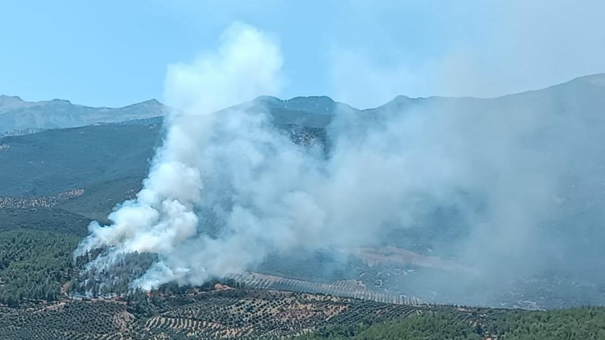 Hatay'da orman yangn