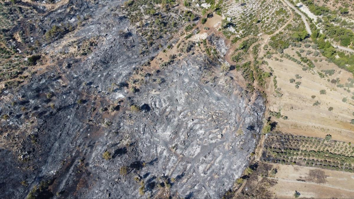 Antalya'daki orman yangn kontrol altna alnd