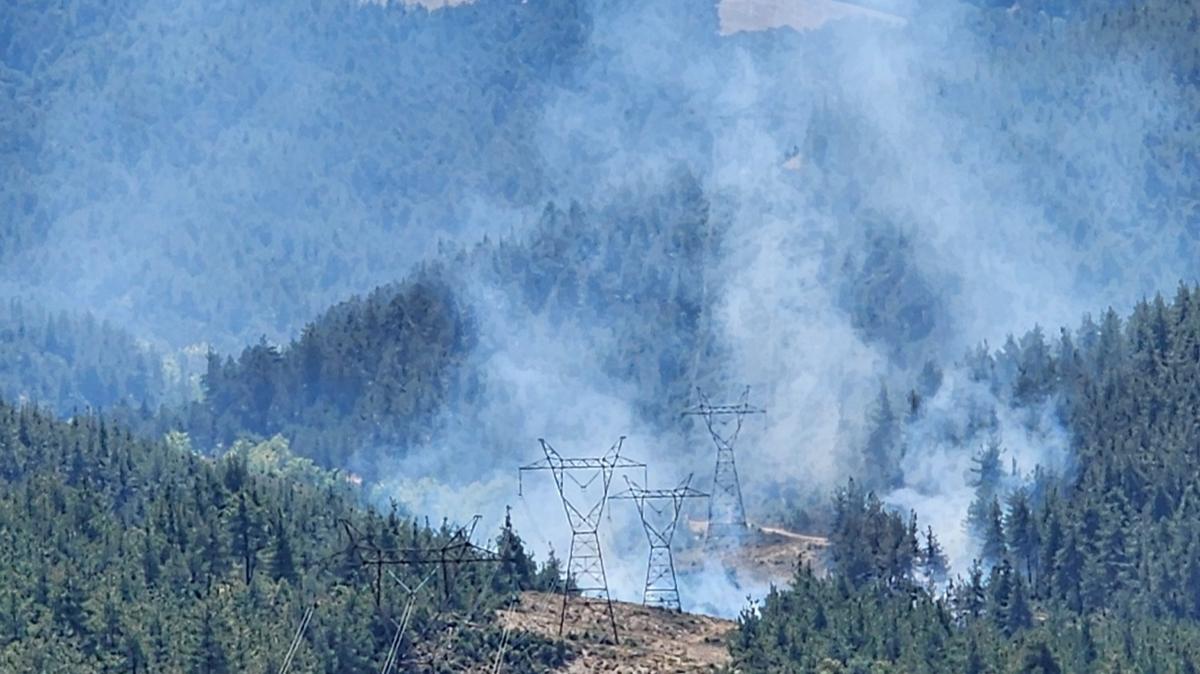 Bursa'da orman yangn