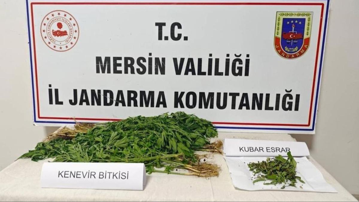 Mersin'de zehir tacirlerine operasyon: 6 pheli yakaland