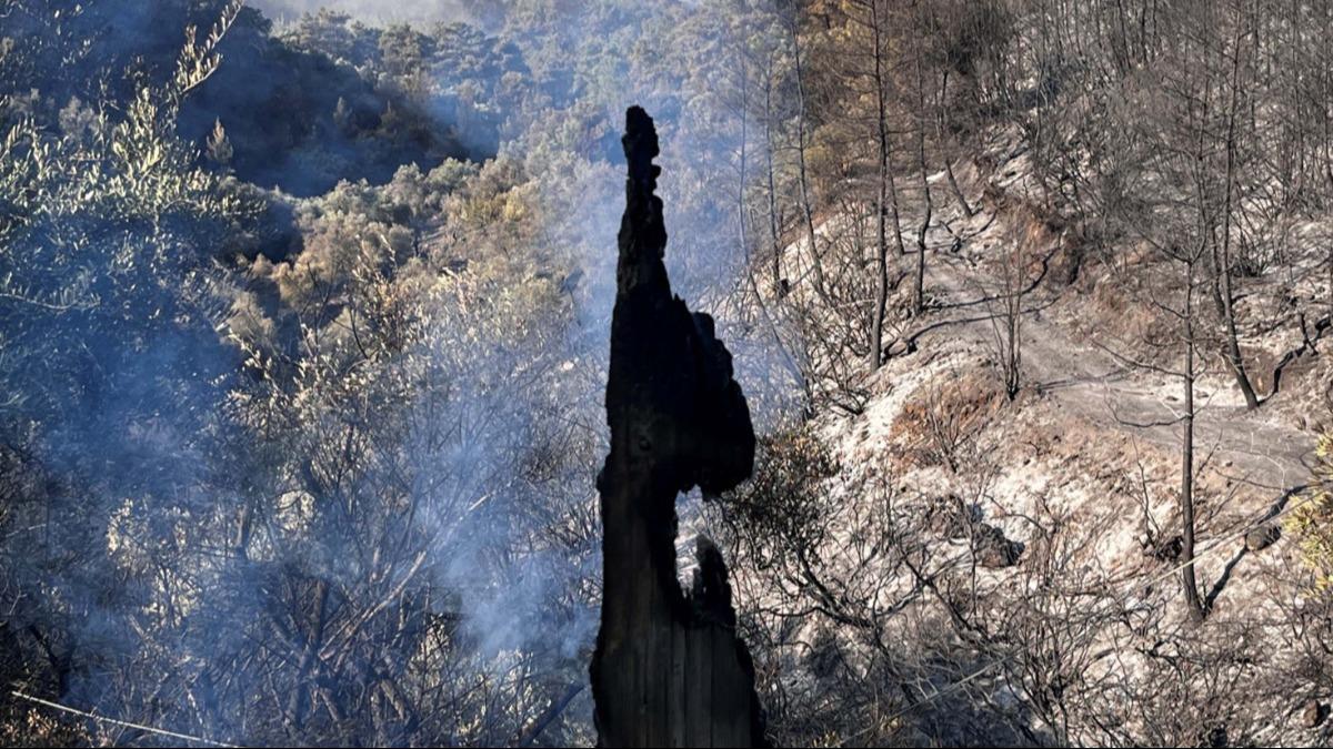 Bakan Yumaklı duyurdu! Muğla ve Aydın'daki orman yangınları kontrol altına alındı