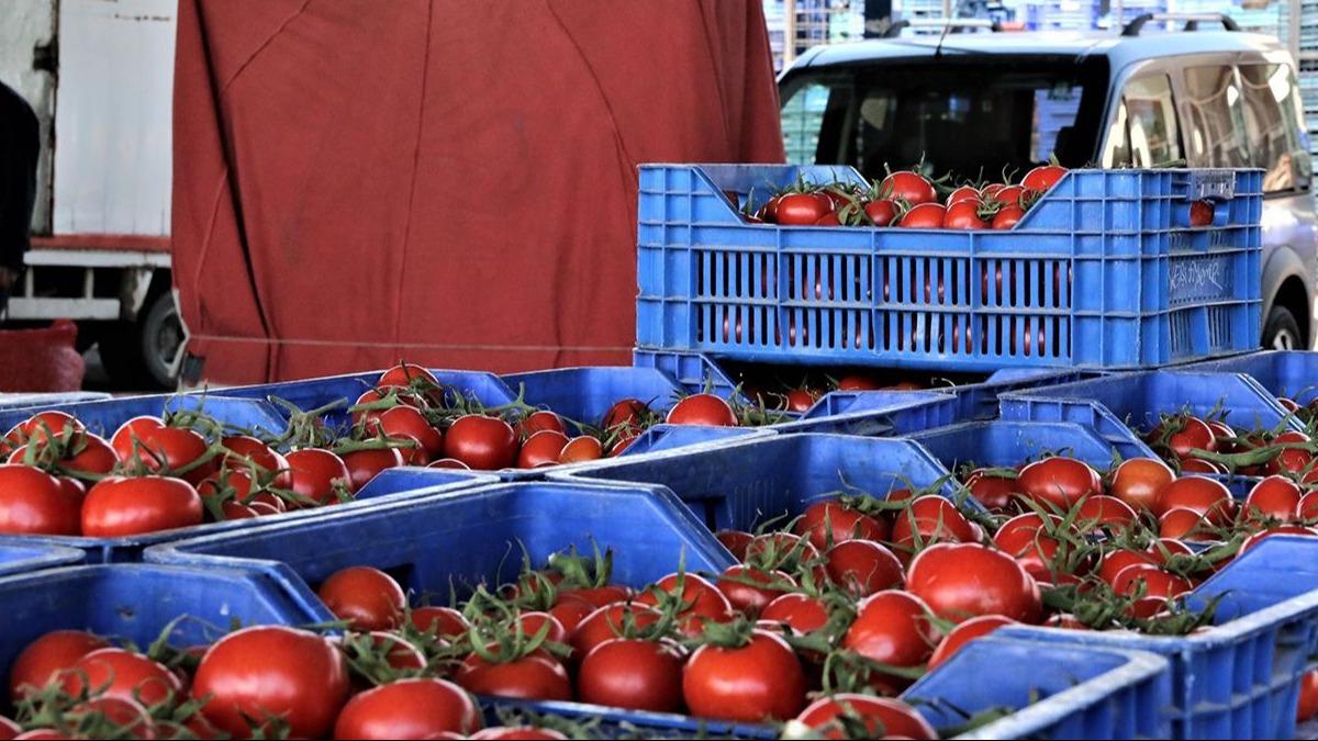 Sosyal medyada paylaşılan domatesin çöpe döküldüğüne ilişkin görüntüler sonrası Ticaret Bakanlığı harekete geçti