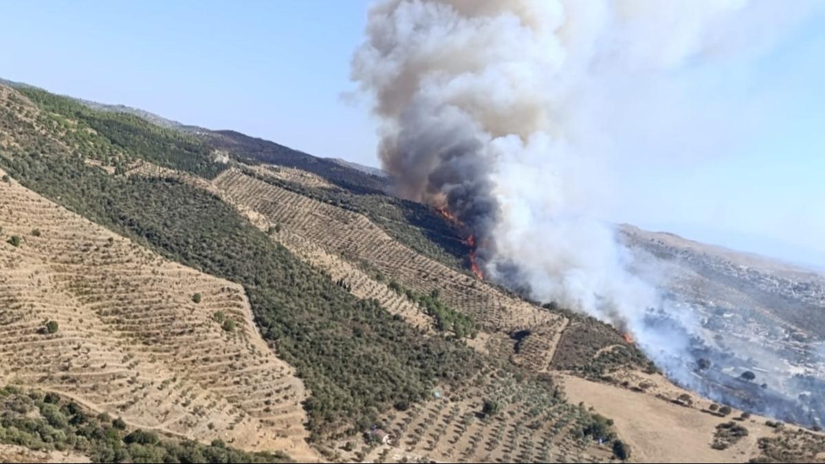 zmir'de kan yangn havadan ve karadan mdahaleyle kontrol altna alnd