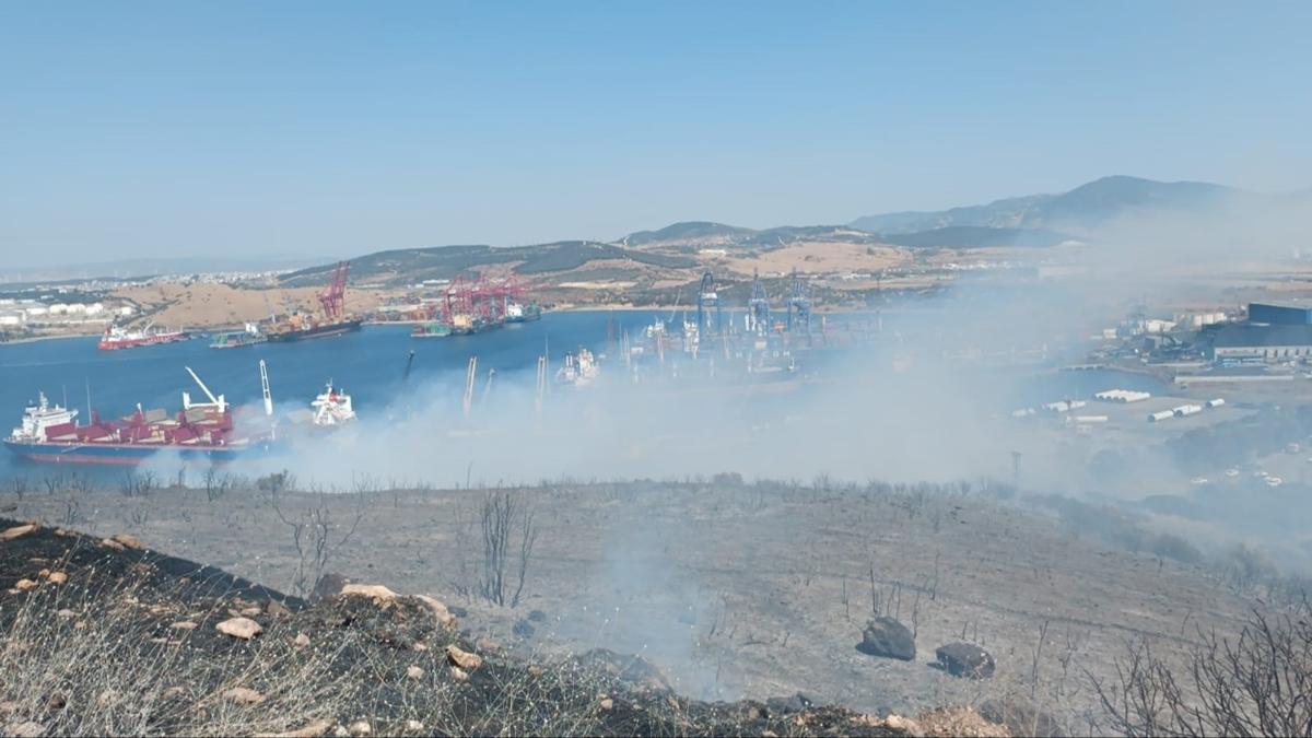 zmir Aliaa orman yangn! ok sayda ekip sevk edildi