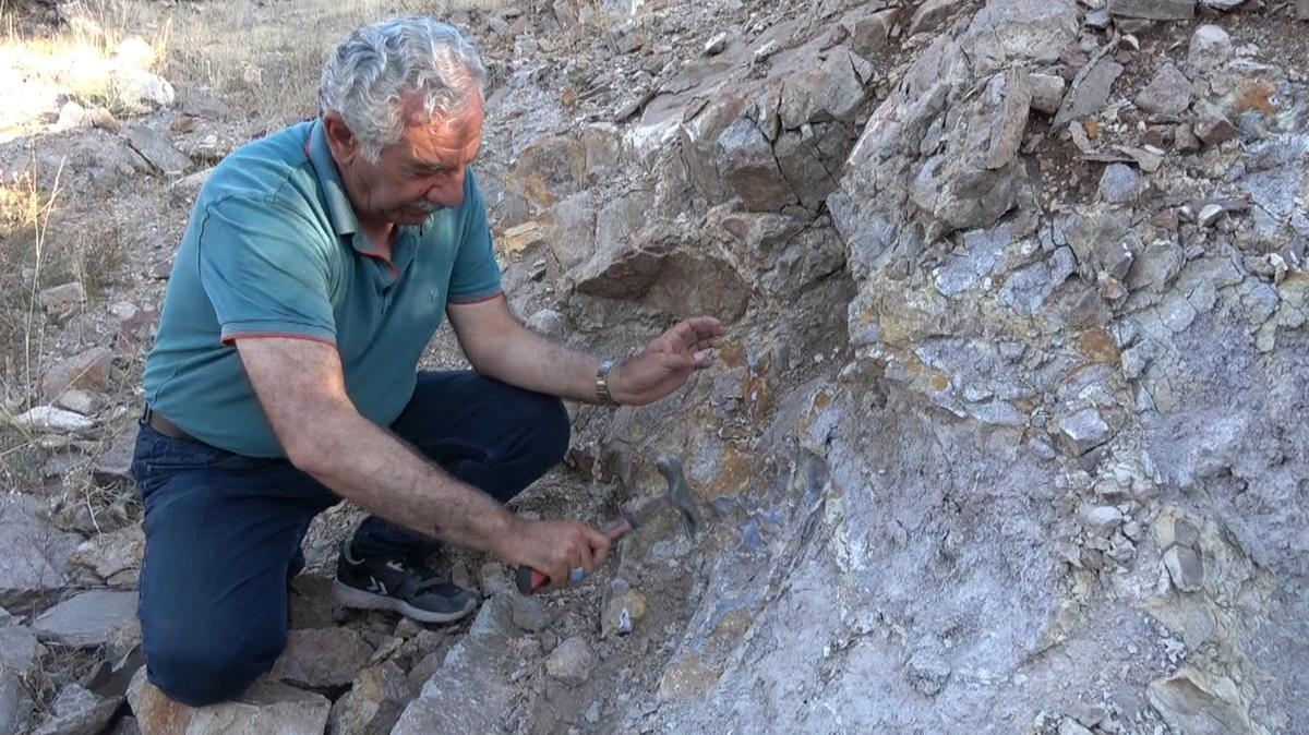 281 hektarlk alanda adm atlan her yer rezerv! karlp ekonomiye kazandrlacak