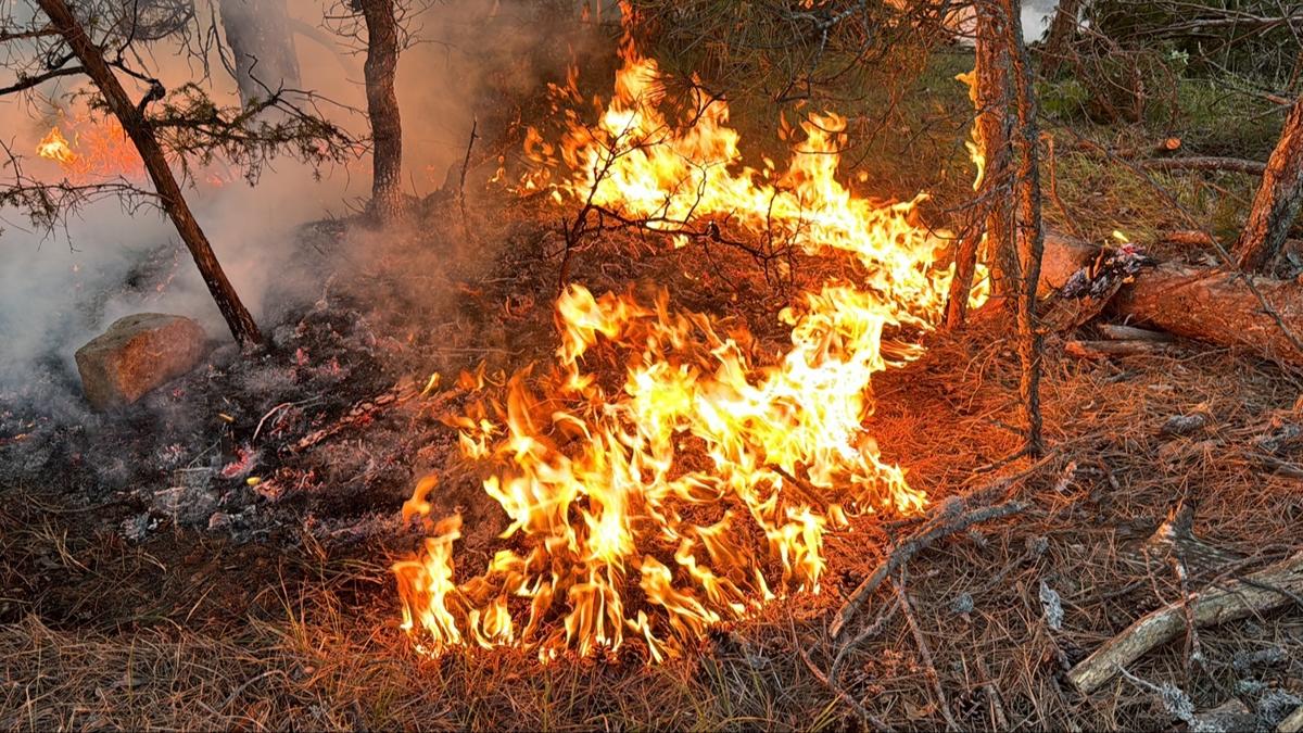 Karabk'te ormanlk alanda kan yangna 20 saattir mdahale ediliyor