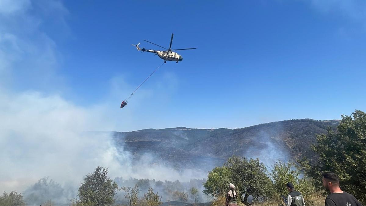 Ankara-Bolu snrndaki orman yangnyla ilgili 1 kii gzaltnda