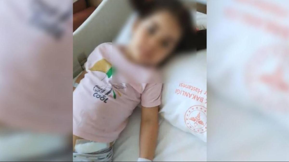 Ankara'da 5 yandaki ocuk 7 kpein saldrsna urad