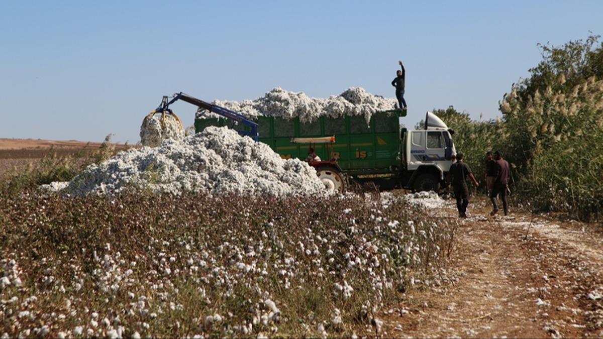 Bakan Yumakl: iftilerimiz ne kadar destek alacan nceden bilecek