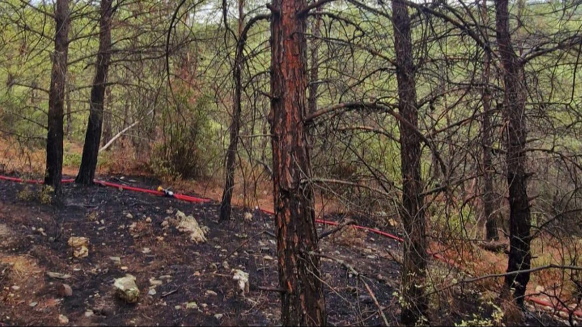 Marmaris'te orman yangn karmak isteyen bir kii tutukland