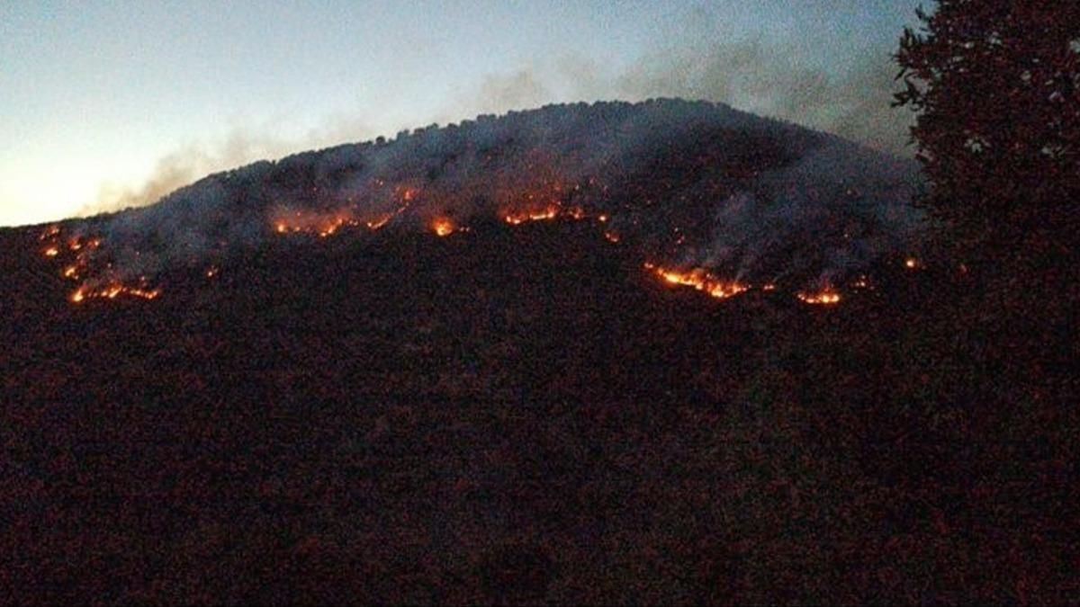 Bitlis'teki orman yangnlar kontrol altna alnd