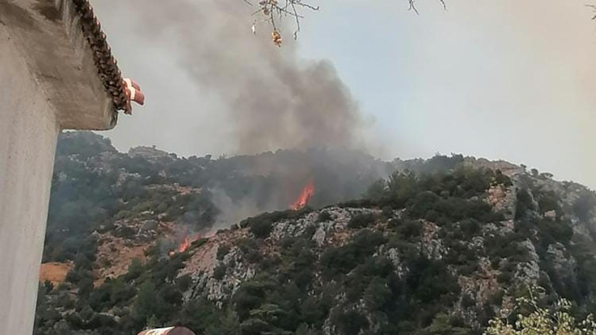 Mula'da orman yangn: Havadan ve karadan mdahale balad